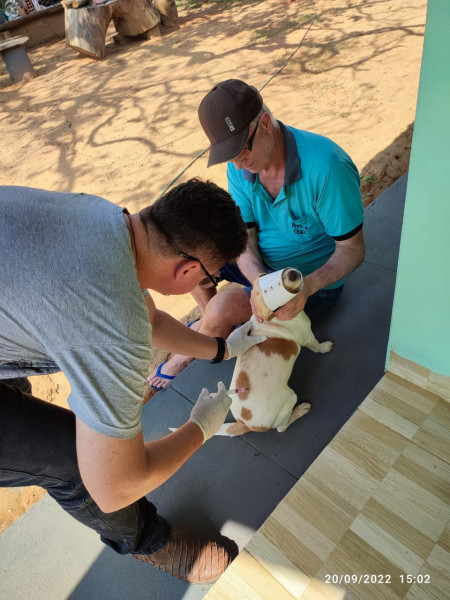 Vacinação Canina na Zona Rural