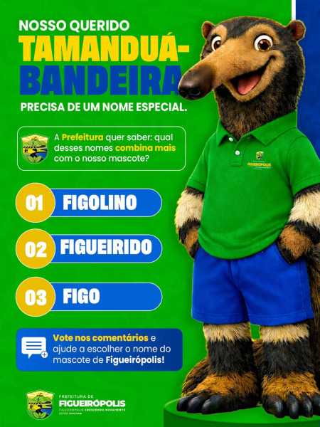 INFORME