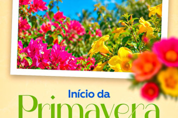 INFORME
